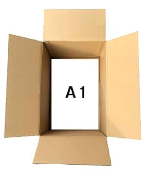 Amazon.co.jp: A1 190サイズ ダンボール 2枚 ダブル 内寸870×605